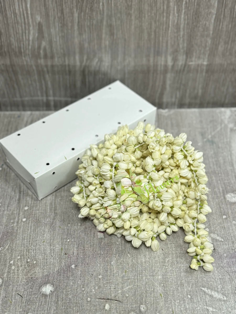 Jasmine flowers box (10ft/3m approx)