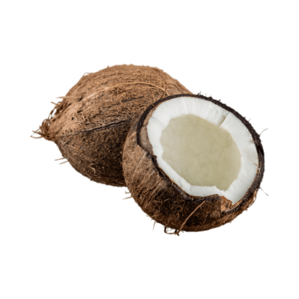 Shop Coconut (Single) at My Indian Grocer