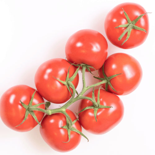 Premium Vine Tomato - Fresh and Direct - Leafy World